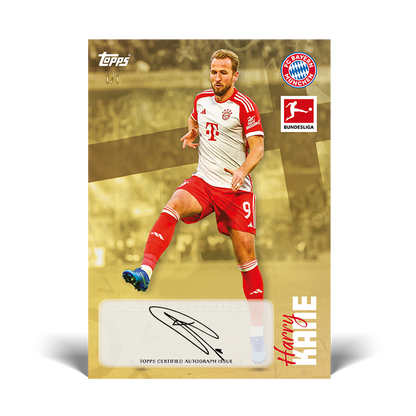 Topps® Bundesliga International Stars 2023/24