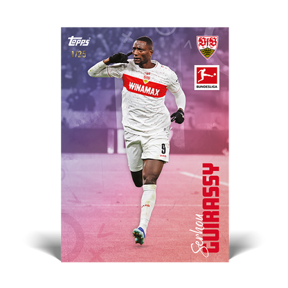 Topps® Bundesliga International Stars 2023/24