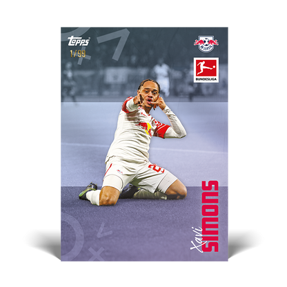 Topps® Bundesliga International Stars 2023/24