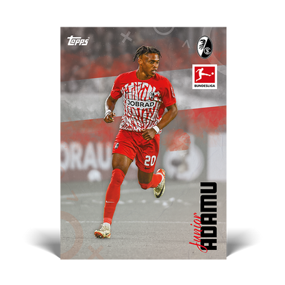 Topps® Bundesliga International Stars 2023/24